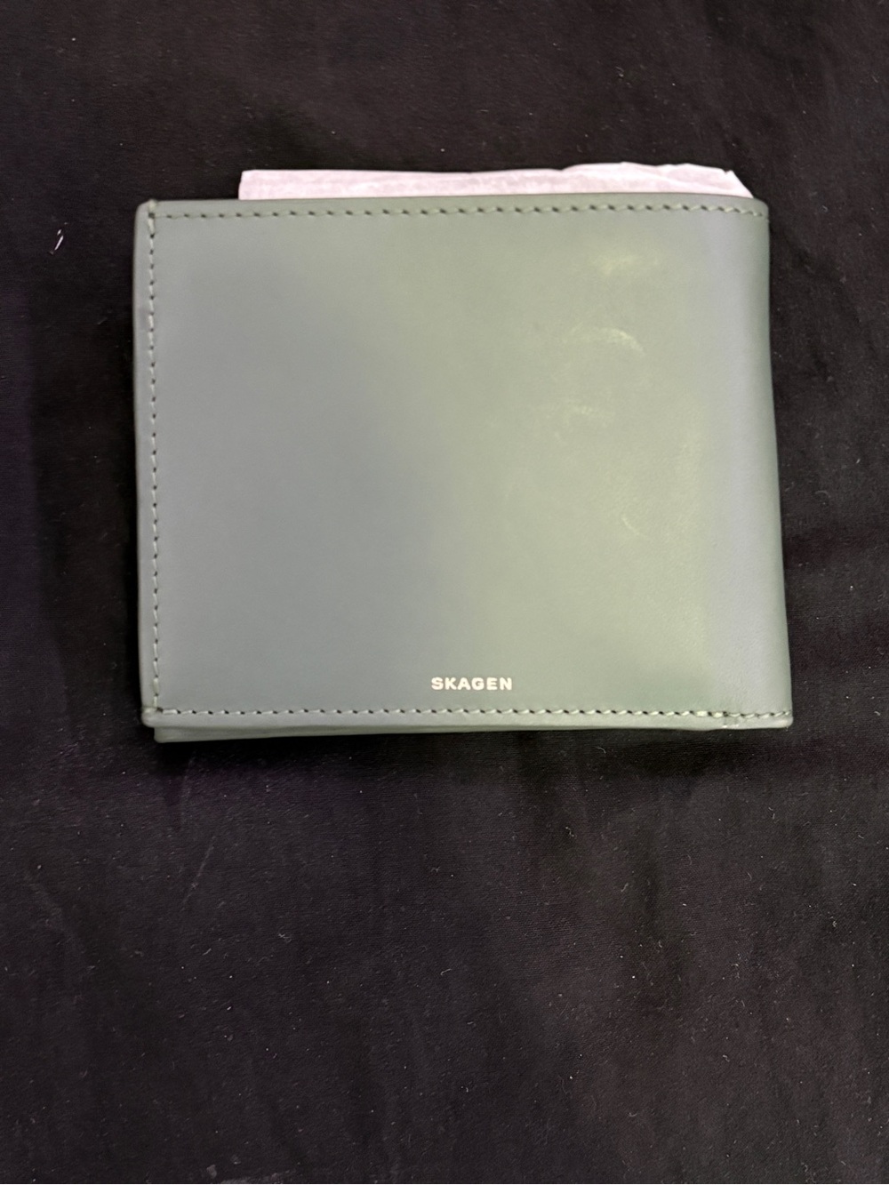 Skagen Men's Wallet in Sage Green Leather